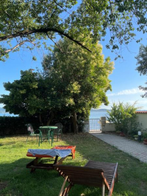Apartments Villa Petra
